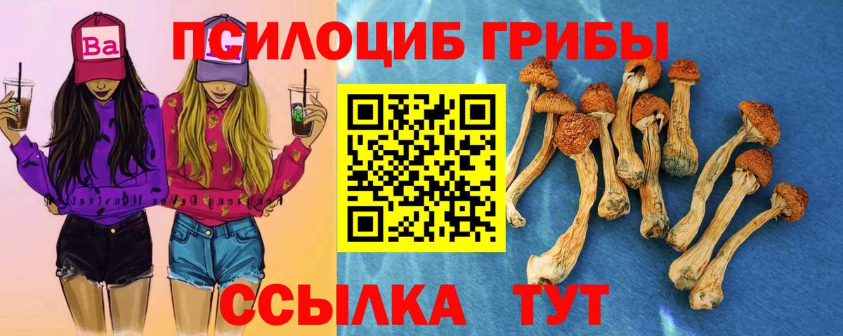 Псилоцибиновые грибы Psilocybe  Галлюциногенные грибы мицелий  Вход с VPN  Корсаков 